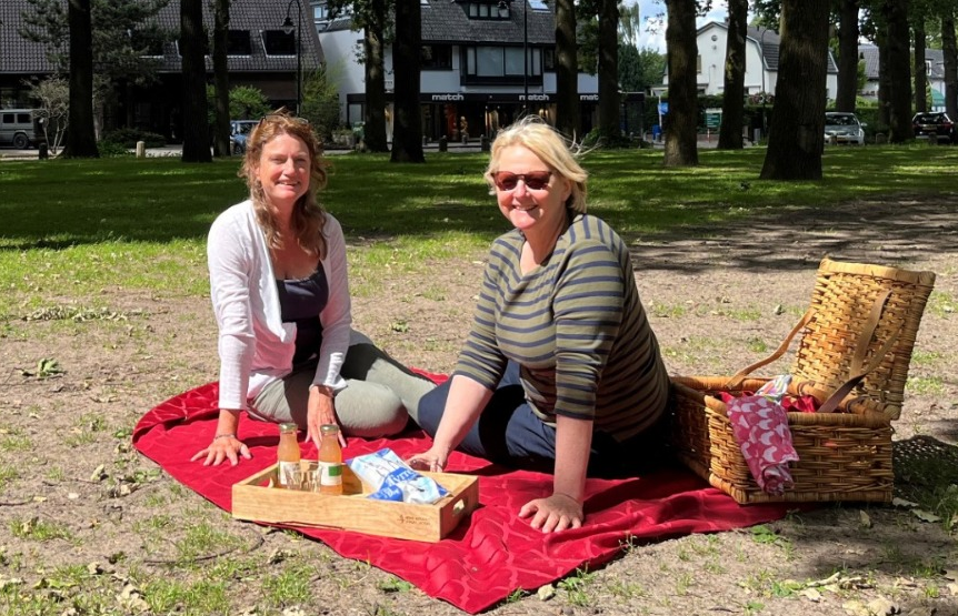 Picknick op de Brink
