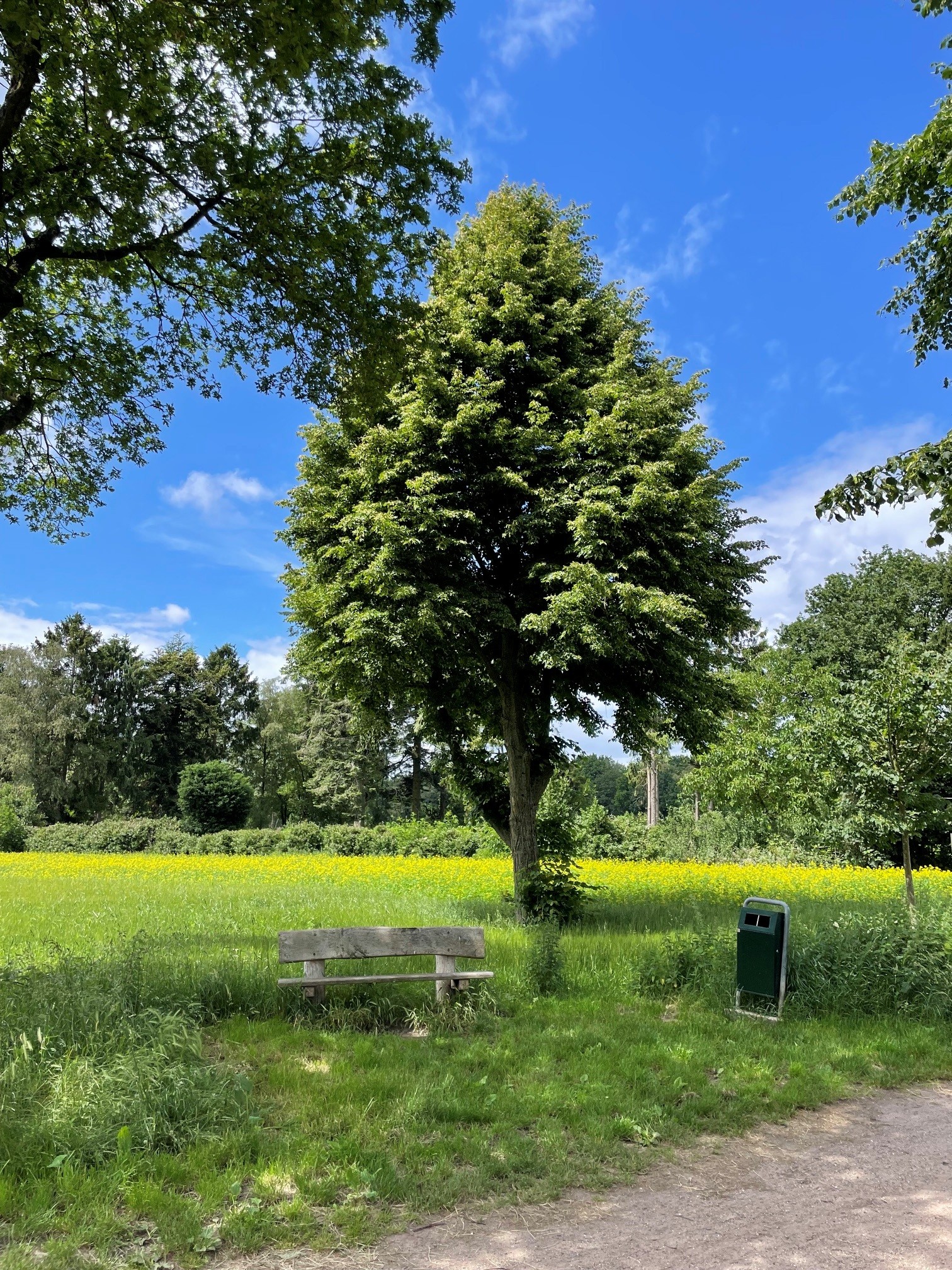 Natuur = Geduld